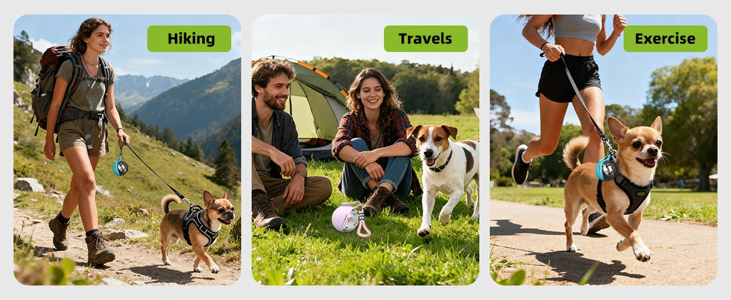Y&M Paws™ 2-in-1 Portable Dog
