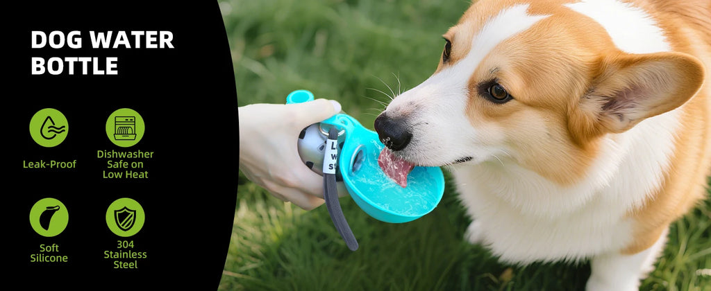 Y&M Paws™ 2-in-1 Portable Dog