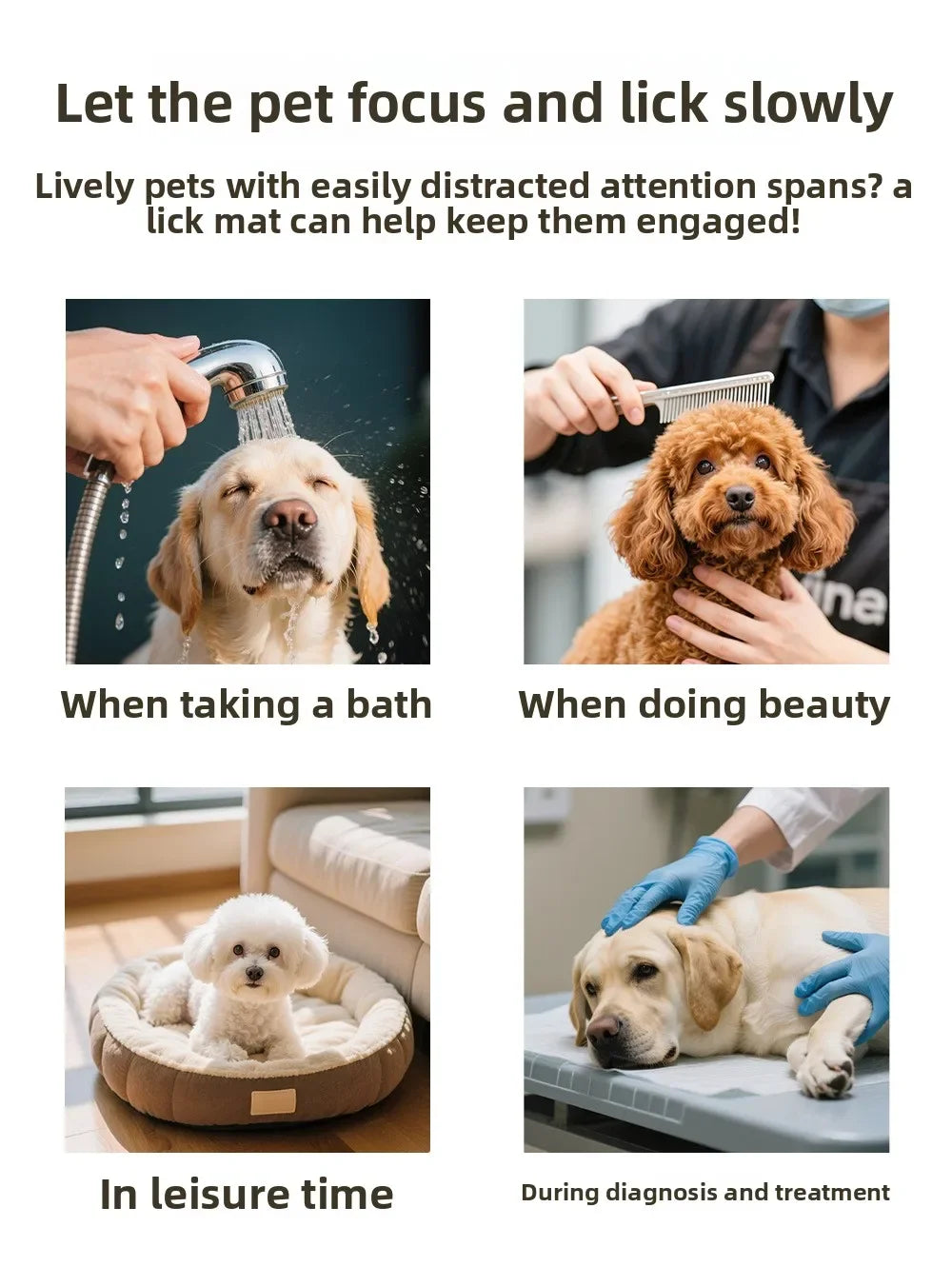 Y&M Paws™ Silicone Lick Mat with Suction Cups