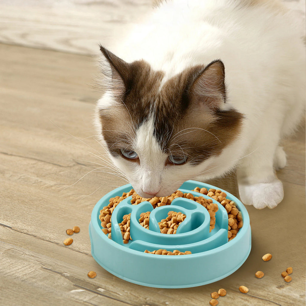Y&M Paws™ Slow Feeder Dog Bowl