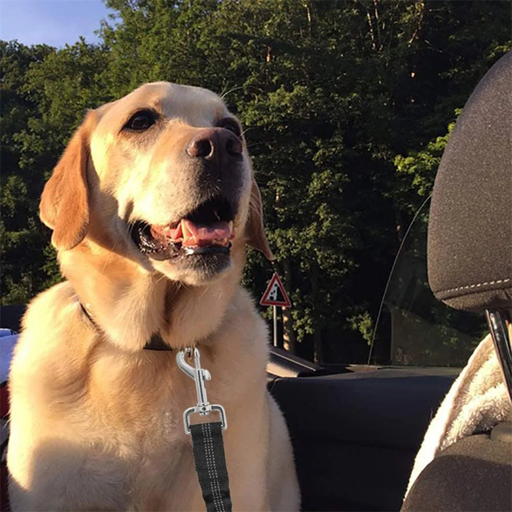 Y&M Paws™ Adjustable Safety Dog Car Seat Belt