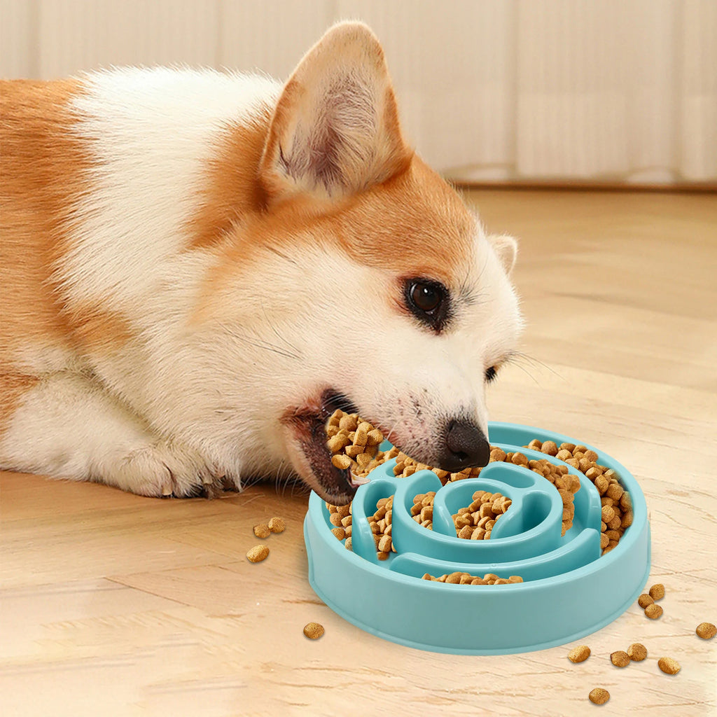 Y&M Paws™ Slow Feeder Dog Bowl