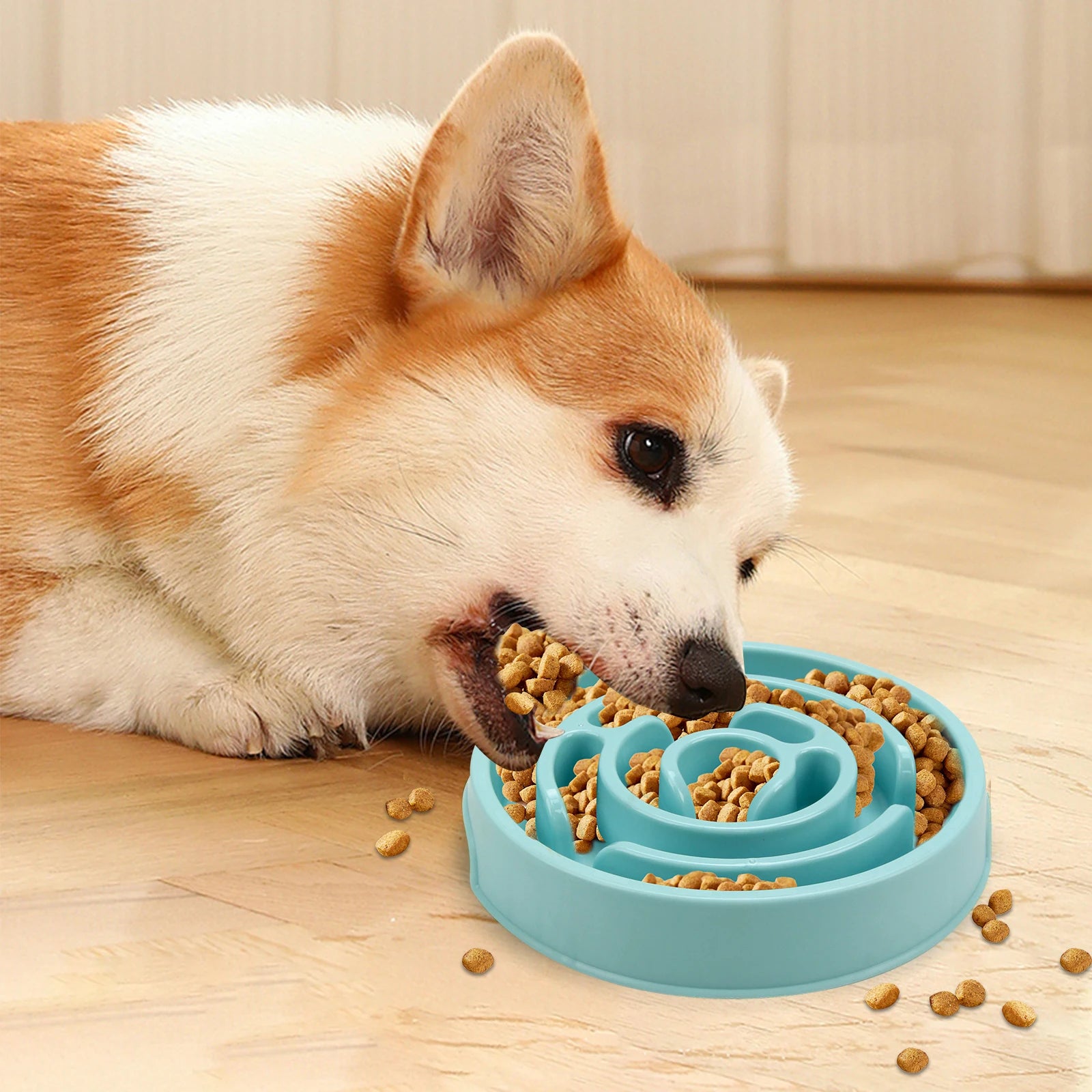 Y&M Paws™ Slow Feeder Dog Bowl