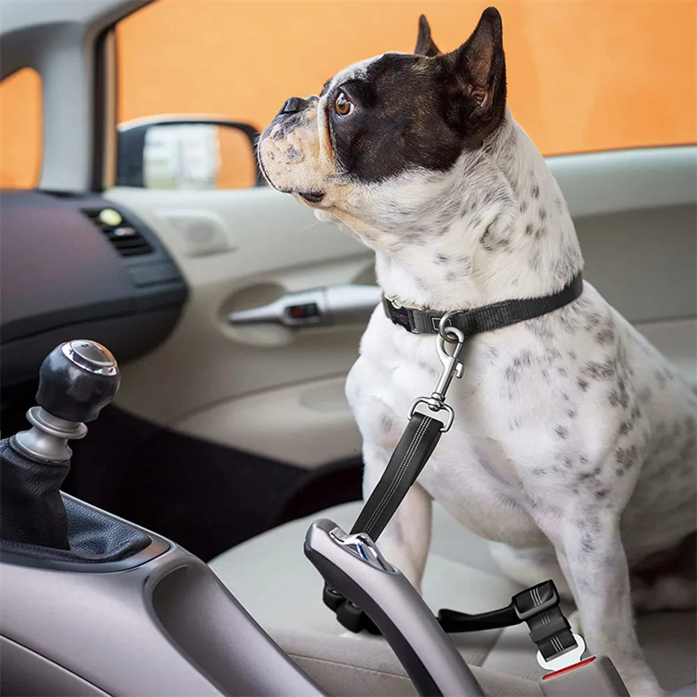 Y&M Paws™ Adjustable Safety Dog Car Seat Belt
